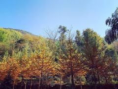 -仙霞关景区