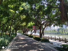 -光明港公园