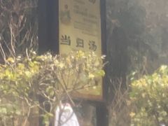 -明月山天沐温泉度假村