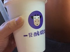 -一只酸奶牛(八一路店)