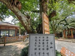 -海口火山口国家地质公园