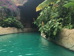 -亚马逊丛林水乐园