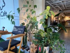 -Dinoo 片场咖啡(酒仙桥店)