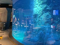 -新加坡飞禽公园