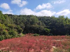 -白水带风景区体育公园