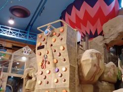 -卡通尼·Safari非洲探索乐园·生日会(金桥国际商业广场店)