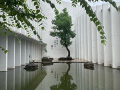 -中国宣纸文化园