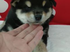 -SUPERMONKEY超级猩猩健身(中山公园店)