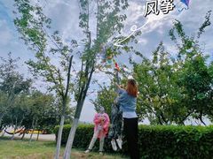 -丁香湖公园