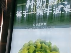 -茉酸奶(春熙路店)