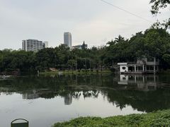 -晓港公园