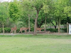 -不觉晓CAMPING(上海迪士尼营地店)