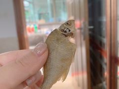 -丫丫蟹庄·苏式园林农家乐·阳澄湖大闸蟹(阳澄湖莲花岛店)