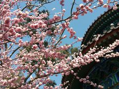 景点-景山公园