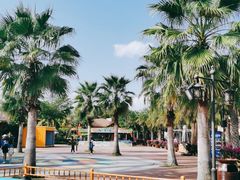 -三亚海昌梦幻海洋不夜城