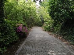 -宝岩生态观光园