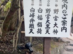 -野宫神社