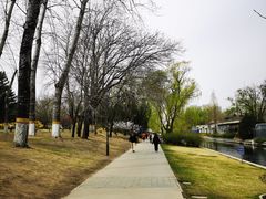 -元大都城垣遗址公园