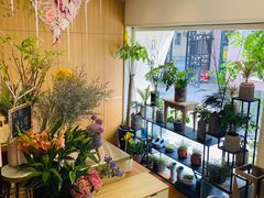 -蝶舍·MAISON PAPILLON