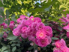 -四里河滨水生态公园