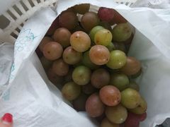 -马陆小张葡萄园农家乐