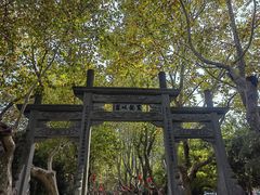 -杭州黄龙洞