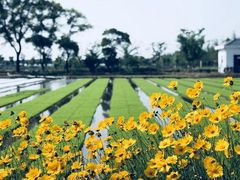 -嘉北郊野公园