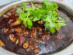 招牌红烧兔-温江公平红烧兔(总店)