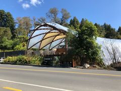 -怀托摩萤火虫洞