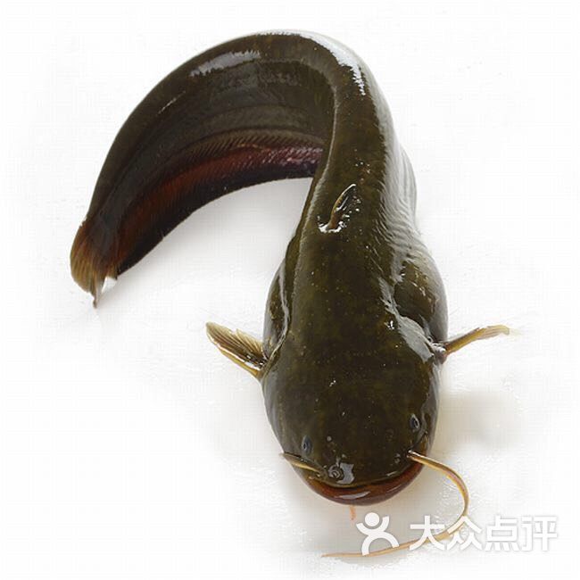 雍雅河鲜图片 - 第89张