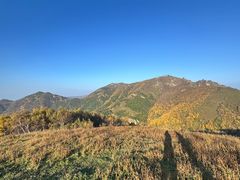 -灵山