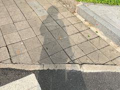 -荔枝公园(福田区)