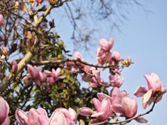 -东台西溪天仙缘景区