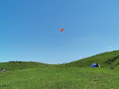 -大姆山草场