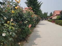 -意大利农场度假村
