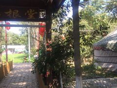-草根堂农场
