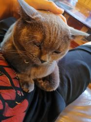 -青木造型HAIR·あおき髪を刈る潮人店