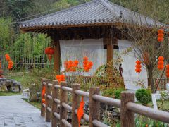-广西壮族自治区药用植物园