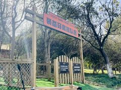 -昆山城市生态森林公园