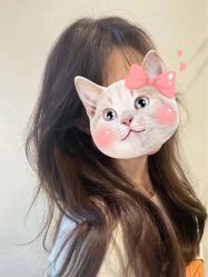 -飞梵造型