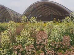 -中国天府农业博览园