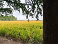 -嘉北郊野公园