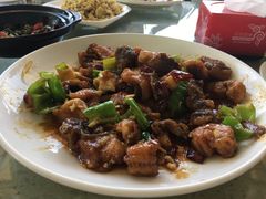 红烧鲤鱼-白氏鲶鱼汤(白亮1号店)
