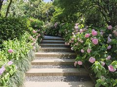 -常州古运河南大街文化旅游区-人民公园