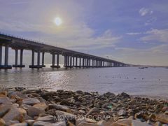 -宝安西湾红树林湿地公园