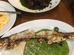 -Cabe Ijo