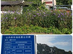 -莫愁湖公园