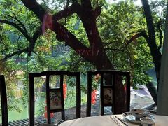 -侨美·唐荔园·40年地道粤菜