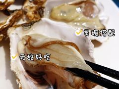 -千岛蚝高压锅生蚝·人参火锅(白云万达店)