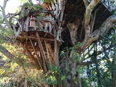 -倒立小屋